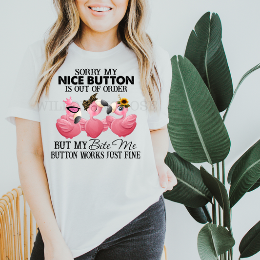 sorry my nice button is